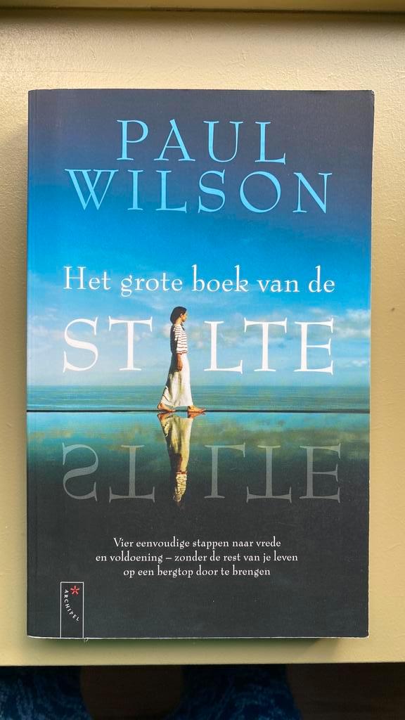 P. Wilson - Het grote boek van de stilte, Boeken, Psychologie, Zo goed als nieuw, Ophalen of Verzenden