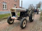 1970 David Brown. Selectamatic 990 Oldtimer tractor, Oldtimer, Overige merken