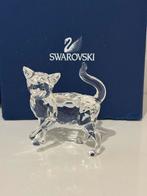 Swarovski kat, Verzamelen, Swarovski, Ophalen of Verzenden, Zo goed als nieuw, Figuurtje