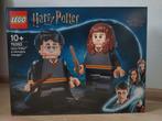 Lego 76393 Harry Potter & Hermione Granger nieuw in doos., Kinderen en Baby's, Speelgoed | Duplo en Lego, Ophalen, Nieuw, Complete set