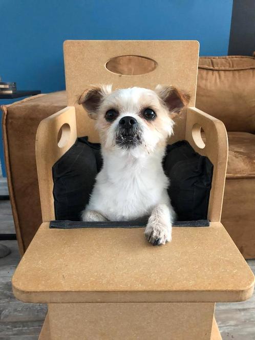 Bailey Chair. Stoel Slokdarmverlamming hond. Megaoesophagus, Dieren en Toebehoren, Honden-accessoires, Ophalen of Verzenden