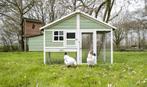 Kippenhok konijnenhok Noor Chickogreen nieuw te koop, Ophalen of Verzenden, Nieuw, Kippenhok of Kippenren