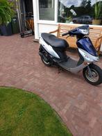 Van den Berg scooterservice, Ophalen of Verzenden