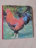 GEKARTONNEERD BOEKJE DIEREN  MULDER HOLLAND, Ophalen of Verzenden, Gelezen, Fictie algemeen