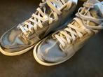 Nike Dunk - Zilver, Overige kleuren, Nike, Ophalen of Verzenden, Gedragen