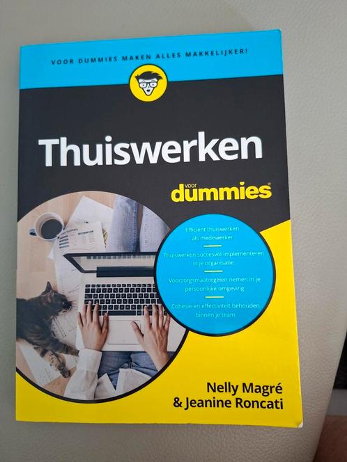 Nelly Magré - Thuiswerken voor Dummies, Boeken, Advies, Hulp en Training, Zo goed als nieuw, Ophalen of Verzenden