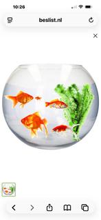 Vis vaas groot, Ophalen of Verzenden, Zo goed als nieuw