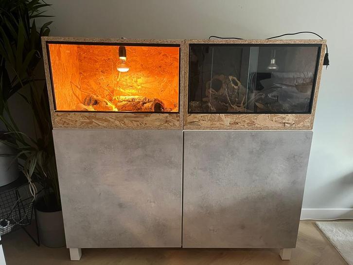 Mooie Terrariums OSB - Reptielen - 2 stuks, 60x40x40, Dieren en Toebehoren, Reptielen en Amfibieën | Toebehoren, Zo goed als nieuw