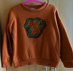 Ammehoela sweater, Kinderen en Baby's, Verzenden, Trui of Vest, Zo goed als nieuw, Ammehoela
