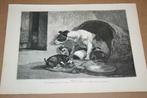 Antieke gravure - Hond met pups (Ronner Knip) - 1876 !!, Ophalen of Verzenden