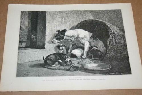 Antieke gravure - Hond met pups (Ronner Knip) - 1876 !!, Antiek en Kunst, Kunst | Etsen en Gravures, Ophalen of Verzenden