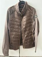 equestrian stockholm champagne L, Ophalen of Verzenden, Nieuw, Maat 38/40 (M), Beige