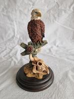 Beeldje Amerikaanse zeearend met bizon schedel B021, Ophalen of Verzenden, Zo goed als nieuw, Dier
