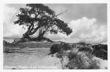 (387-166-031) Nunspeet Vliegden in het Hulshorsterzand beschikbaar voor biedingen