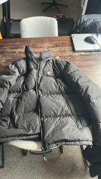 Tommy Hilfiger Jas, Ophalen of Verzenden, Zo goed als nieuw, Overige maten, Zwart