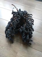 Dadeltak ingedroogt, Huis en Inrichting, Ophalen