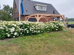 Prachtige pergola's op maat gemaakt, Tuin en Terras, Ophalen of Verzenden, Zo goed als nieuw