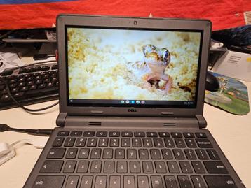 Dell Chromebook P22T001  beschikbaar voor biedingen