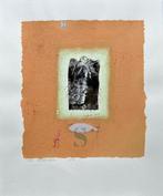 Zeefdruk Peter van den Berg, Antiek en Kunst, Kunst | Litho's en Zeefdrukken, Verzenden