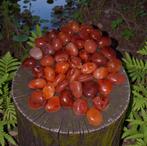 Carneool knuffelstenen, Ophalen of Verzenden, Mineraal