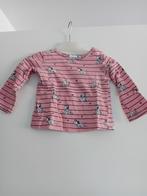 Longsleeve.  Maat 74. Disney baby. Zie omschrijving, Gebruikt, Meisje, Disney Baby, Ophalen of Verzenden