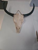 Longhorn diverse, Ophalen, Nieuw