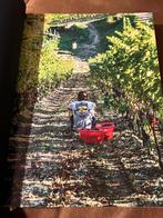 Vineyard: Belgians Producing Top European Wines - Dirk De Me, Gelezen, Dirk de Mesmaeker, Ophalen of Verzenden, Europa