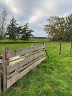 Landhek Douglas, Dieren en Toebehoren, Stalling en Weidegang, Weidegang