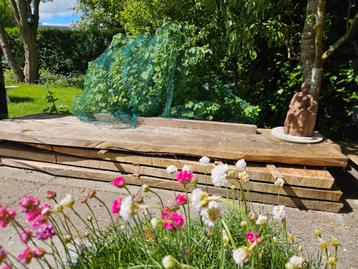 ! Nog 5 mooie massieve Sequoia planken 245 x 75 x 5 cm ! beschikbaar voor biedingen