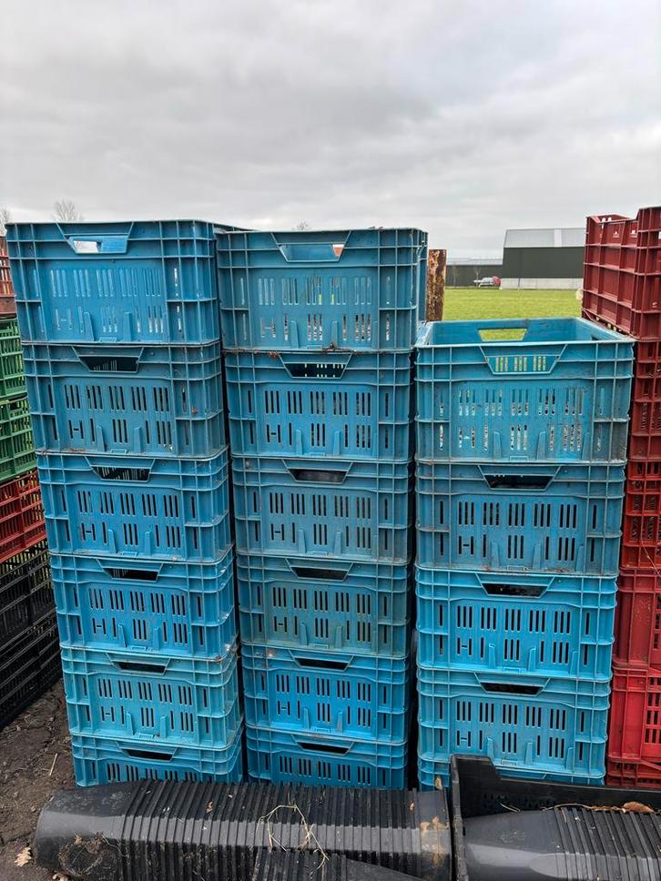 Kunststof kratten op pallet +/- 495 ST, Tuin en Terras, Kweekspullen, Gebruikt, Kweekbak, Ophalen