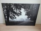 BJÖRKSTA Ikea poster 140x200 - Nature field, Ophalen, Gebruikt, 125 cm of meer, Foto of Poster