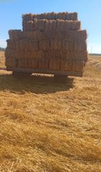 Stro, Dieren en Toebehoren, Dierenvoeding, Ophalen of Verzenden, Vee