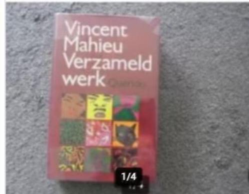 Vincent Mathieu Verzameld werk, Boeken, Literatuur, Zo goed als nieuw, Nederland, Ophalen of Verzenden
