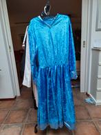 Carnavalsjurk Prof. Zwamdrift + attributen, Blauw, Knielengte, Gedragen, Ophalen