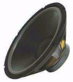 Disco speaker 12 Inch 30 cm 300 Watt [3377-BO], Overige merken, ., Overige typen, Nieuw