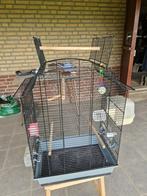 COMPLEET GROTE VOGELKOOI, Dieren en Toebehoren, Vogels | Hokken en Kooien, Ophalen, Gebruikt, Metaal, Vogelkooi