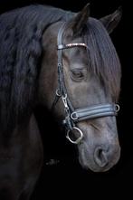 Cavesson, Bitloos & veelzijdig (anatomisch hoofdstel), Ophalen of Verzenden, Nieuw, Overige soorten