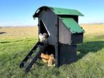 Kunststof Kippenhok - Nestera Small Verhoogd, Dieren en Toebehoren, Pluimvee | Toebehoren, Ophalen of Verzenden, Nieuw, Kippenhok of Kippenren
