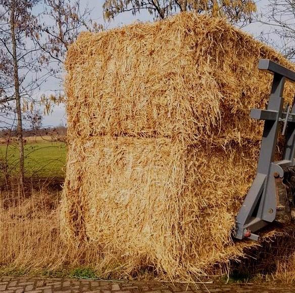 Hooi stro kleine en grote balen en pakken, Dieren en Toebehoren, Dierenvoeding, Vee, Ophalen of Verzenden