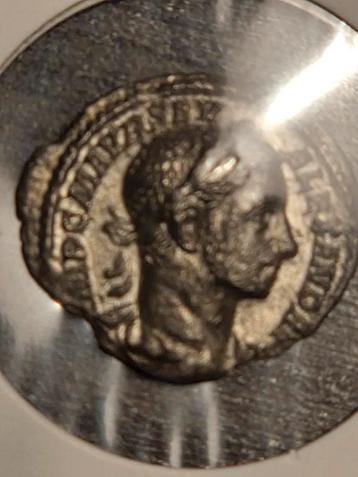 Oude Romeinse Munt severus,Alexander. beschikbaar voor biedingen