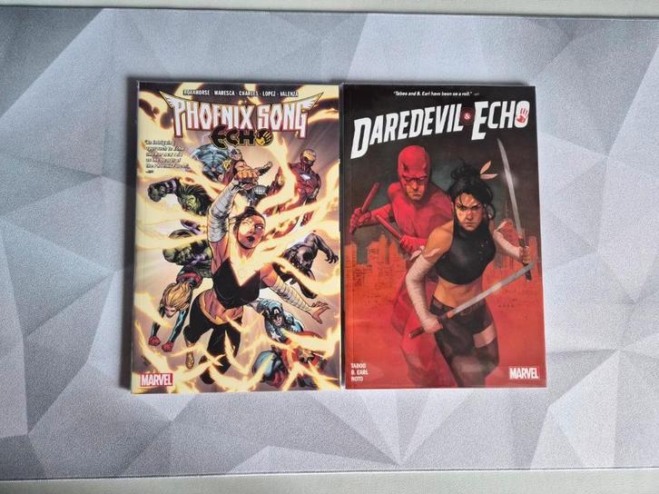 Echo Collection [Marvel], Boeken, Strips | Comics, Zo goed als nieuw, Meerdere comics, Amerika, Ophalen of Verzenden