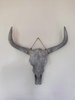 Grote Buffelschedel – Industrieel & Decoratief, Ophalen, Zo goed als nieuw