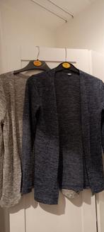 Leuke set van 2 vestjes- glitter maat 134/140, Ophalen of Verzenden, Zo goed als nieuw, Meisje, Trui of Vest