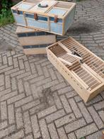 Duivenmanden/opleermanden, Dieren en Toebehoren