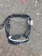 Nieuw hoofdstel D pony, Ophalen, Nieuw