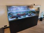 Schildpadden aquarium 180x60x60. Maatwerk, Dieren en Toebehoren, Reptielen en Amfibieën | Toebehoren, Ophalen