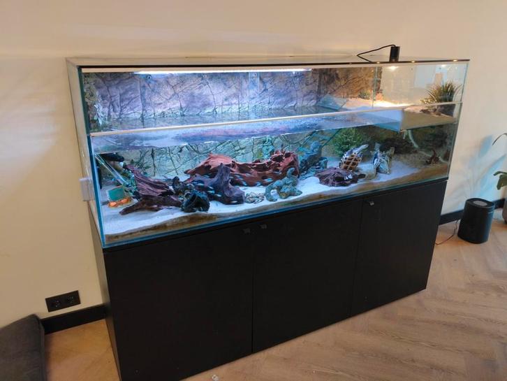 Schildpadden aquarium 180x60x60. Maatwerk, Dieren en Toebehoren, Reptielen en Amfibieën | Toebehoren, Ophalen