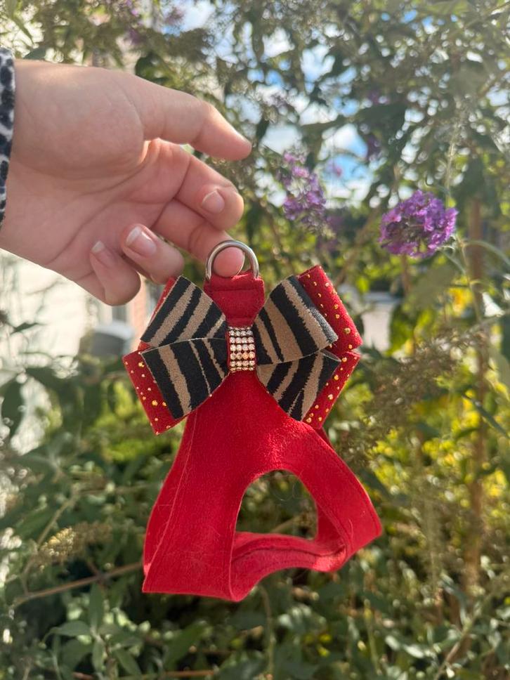 Susan lanci stepin tuigjes allemaal XS-S, Dieren en Toebehoren, Hondenhalsbanden en Penningen, Nieuw, Ophalen of Verzenden