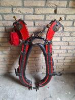 Paardenhoofdstel, Ophalen, Gebruikt, Recreatie