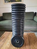 20 x berubberde metalen schijven, Sport en Fitness, Fitnessmaterialen, Ophalen, Zo goed als nieuw, Benen, Halterschijven